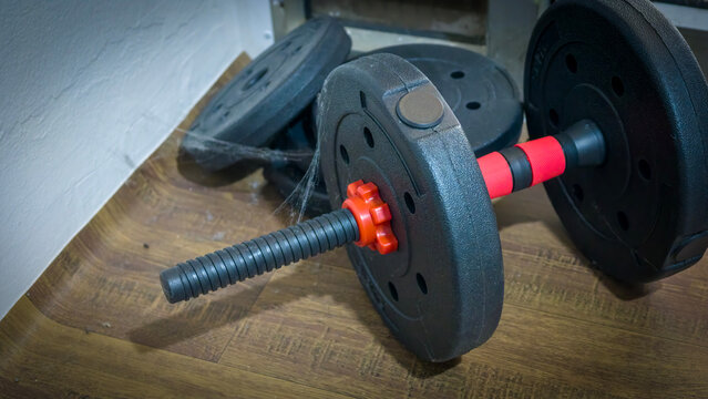 Adjustable dumbbell handle with weight plates: A close-up shot of an adjustable dumbbell handle with a spiderweb clinging to it.