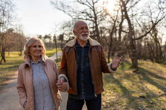 Happy senior couple holding hands while enjoying a peaceful walk through a sunlit park, smiling and talking together during a relaxing day outdoors
