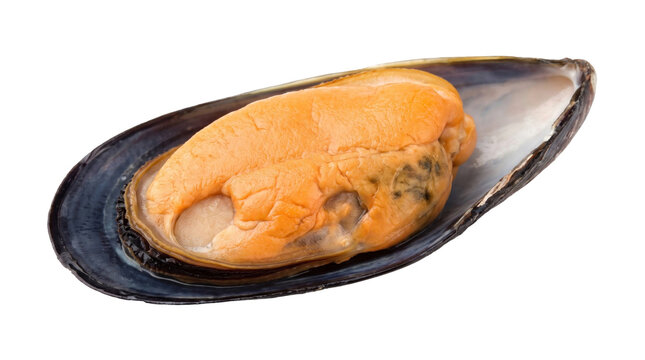 Open mussel showing orange flesh on a transparent background