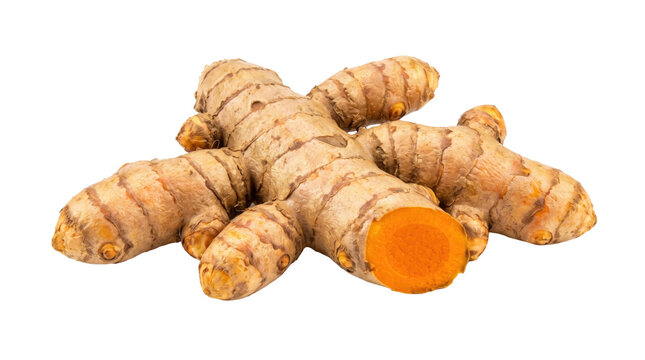 Fresh turmeric roots with cross-section on a transparent background