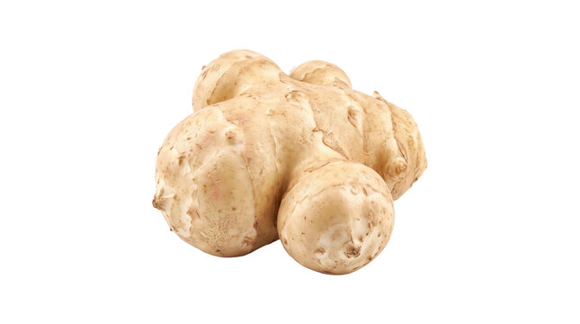 Fresh whole jerusalem artichoke on a transparent background
