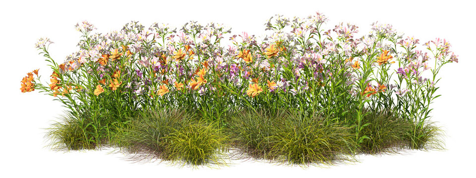 Beauty vibrant flowery grow 3d rendering png
