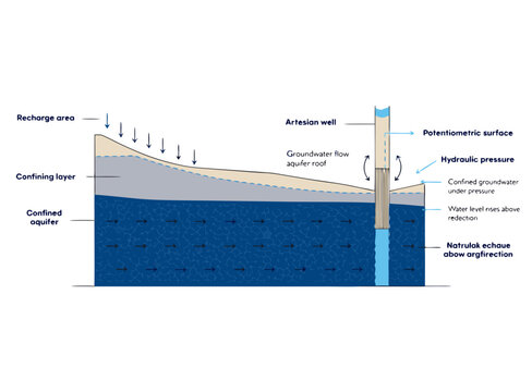 Artesian Well and Potentiometric Surface