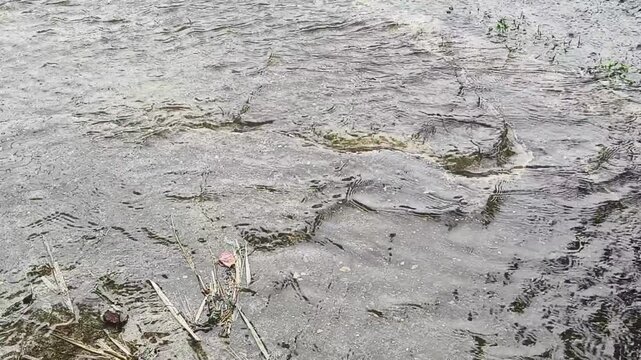 Water flowing during heavy rain.