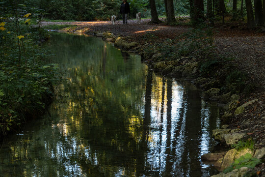 Serene forest path alongside calm reflective stream, Germany, Bavaria, Augsburg, 6 October 2026