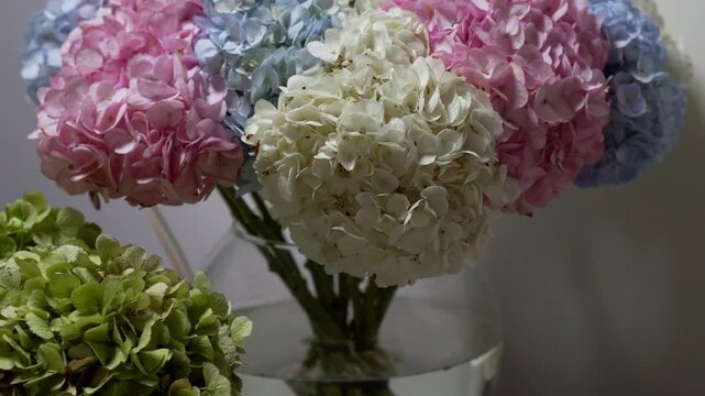A bouquet of hydrangeas in a vase.
Multicolor hydrangeas in the interior.
