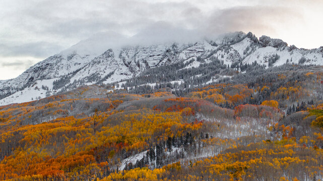 Aerial view of the snow-dusted Marcellina Mountain and vibrant autumn aspen forests at Kebler Pass near Crested Butte, Colorado, United States.