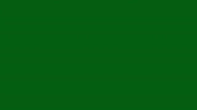 Luxury white glitter sparkle animation, glowing fairy dust sparkle particles, shimmering stars line path on green background, star sparkle vector doodles, magic sparkling bokeh effect, 4k animation