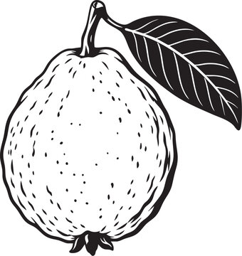 guava