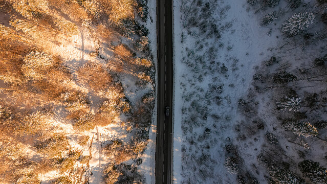 Aerial view of Col de la Faucille showing a road winding through a snow-covered forest with golden sunlight on one side and shadows on the other, Gex, Auvergne-Rhone-Alpes, France.