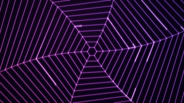 Purple radial hexagonal web with luminous concentric lines animation loop