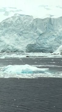 Vertical Video of Large Iceberg With Red-Hooded Passenger at Frame Edge. A red hooded passenger appears at the lower frame edge while the massive carved ice face dominates the dark rippling water.