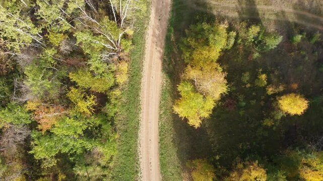 Drone looking straight down and looking at a dirt road that runs through autumn colored trees
