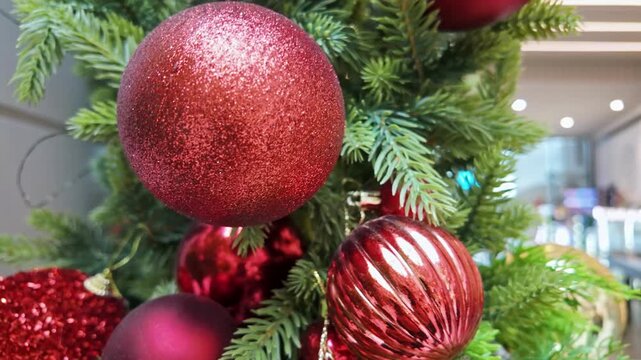 Closeup of shiny and glittery red Christmas baubles hanging on green fir tree branches.
