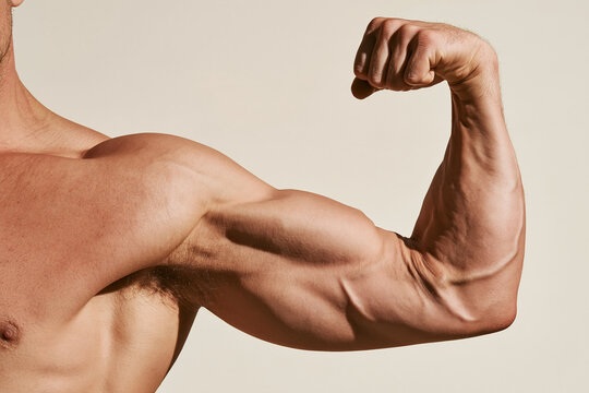 Strong muscular arm flexed bicep male bodybuilder fitness strength muscle healthy skin closeup Flexed strong muscular arm of male bodybuilder showing bicep and defined muscle healthy skin fitness