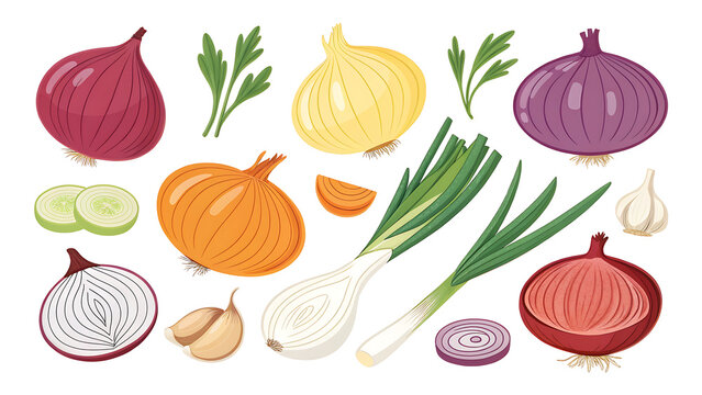 Vibrant flat illustration of nine onion varieties for food blogs and