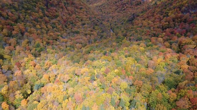 Aerial drone footage of beautiful Fall foliage colors in the mountains of New England