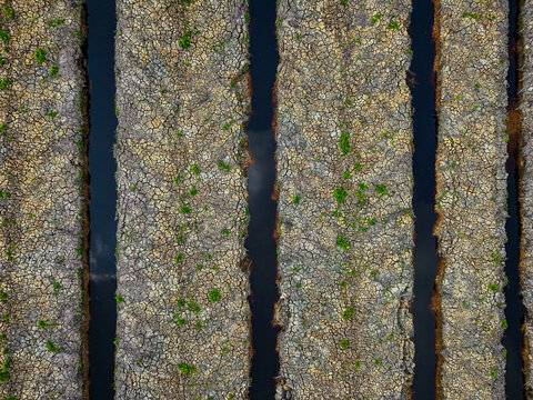 Aerial view of parallel drainage canals cutting through cracked dry peatland with sparse green vegetation in Barito Kuala Regency, South Kalimantan, Indonesia.