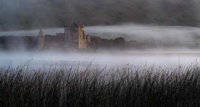 Dark reeds fill the foreground as low mist drifts across Loch Awe in front of the ruins of Kilchurn Castle, lit by soft early light.