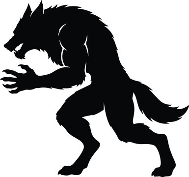 Fierce black silhouette of a crouching werewolf in defensive beast stance for Halloween horror fantasy vector graphic design element artwork