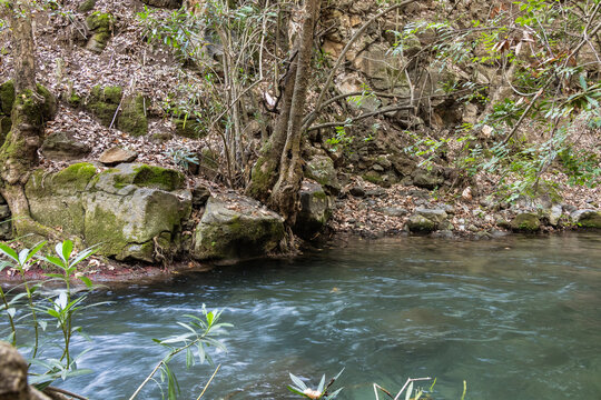 Extraordinary  beauty of the cold fast flowing mountain Hermon river in northern Israel