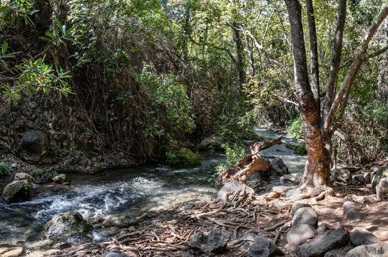 Unsurpassed  beauty of cold fast flowing mountain Hermon river in northern Israel