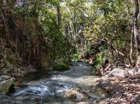 Unsurpassed  beauty of cold fast flowing mountain Hermon river in a northern Israel
