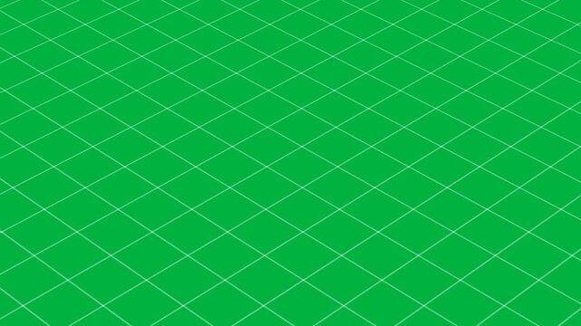 There is something wrong, nothing to see only grid on white background