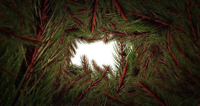 Animation of multiple layers of christmas fir tree branches