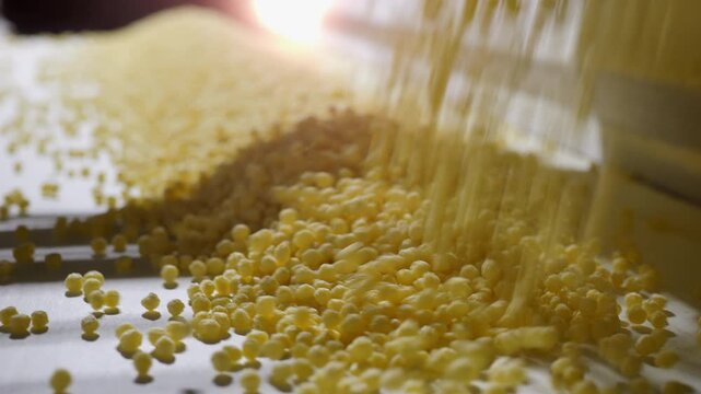 Extruded food pellets falling onto a conveyor belt during industrial confectionery production. Close up of automated food processing machinery handling bulk ingredients at a factory.