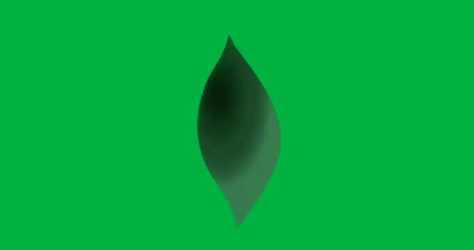 At start abstract leaf shape rotating on transparent backdrop with blue glow outlining edges