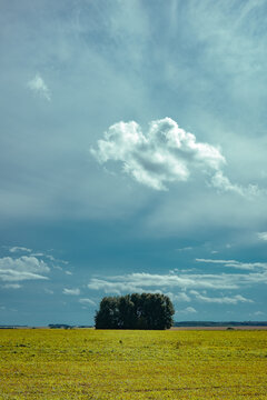 Clouds over a field with a tree line in the distance