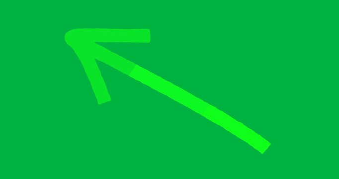 uniform green screen filling frame since start, serving transparent background for editing