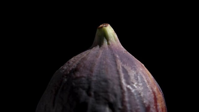 Close-up of the top of a whole purple fig with green stem slowly turning against a black background, revealing its textured skin.