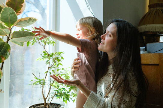 A quiet moment by the window