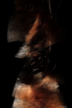 3D render of layered flowing strands creating organic waves agai