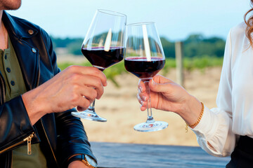 Naklejka premium Young adult Caucasian man and woman toasting with glasses of red wine at vineyard. Close up shot suitable for winery marketing and celebration advertising