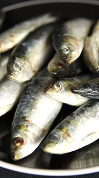 Sardines fish fresh small seafood pescatarian diet serving size fish&nbsp;natural ingredients healthy eating, wholesome dish, tasty snack fresh, gourmet, rustic food background on the table top view copy s