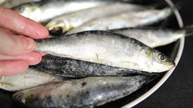 Sardines fish fresh small seafood pescatarian diet serving size fish&nbsp;natural ingredients healthy eating, wholesome dish, tasty snack fresh, gourmet, rustic food background on the table top view copy s