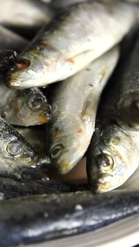 Sardines fish fresh small seafood pescatarian diet serving size fish&nbsp;natural ingredients healthy eating, wholesome dish, tasty snack fresh, gourmet, rustic food background on the table top view copy s