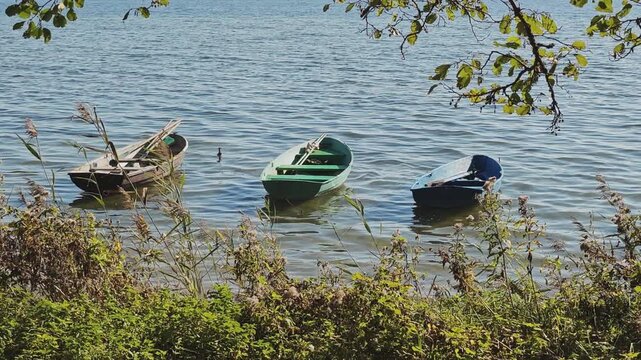 Empty wooden and plastic boats gently bobbing on the rippling water near a reedy bank. Peaceful and serene natural summer landscape