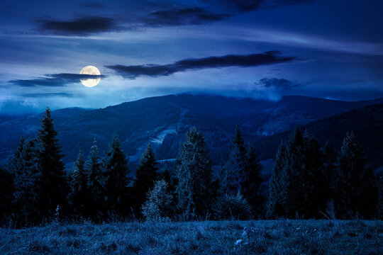 rural fields on rolling hills at night. full moon over green countryside scenery in early autumn. beautiful mountain landscape. backdrop for fiction art or mystery concept