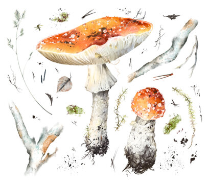 Watercolor hand drawn set of fly agaric mushrooms with roots, soil, moss, pine twigs, autumn dry leaves, isolated on white background. Rustic woodland forest clipart for fall and nature design