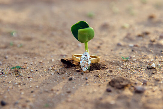 Diamond Engagement Ring on Sprout