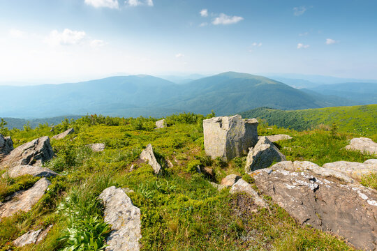 Carpathian mountain landscape in summer. scenic view of Transcarpathia region from the mnt. Smooth. alpine blueberry field with rock on the Polonyna Runa hill