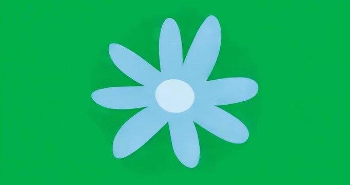 flat design daisy graphic upon load rotating clockwise to show spinning on transparent background