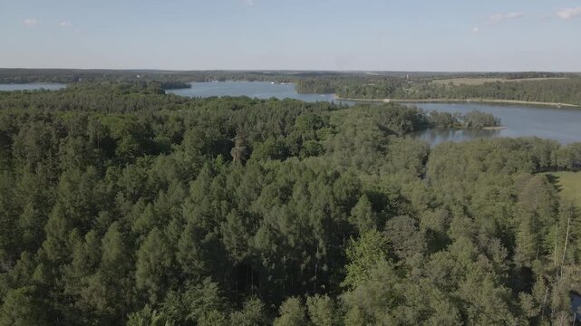 Aerial drone panorama of dense green forest canopy surrounded by a tranquil lake in the scenic Lychen lake region, Uckermark, Brandenburg, Germany, on a clear sunny summer day under a blue sky