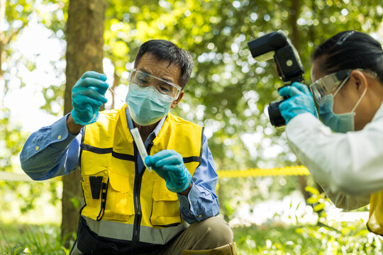 Masked field investigators in protective clothing collect and photograph evidence in a sunny woodland, highlighting research, safety, teamwork and outdoor inspection.