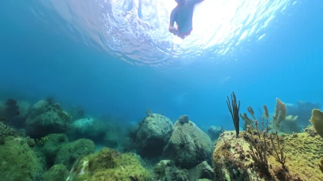 Two people swimming and snorkeling near the surface in clear tropical ocean water with sunlight filtering through, exploring the hidden underwater world of the coral reef. French Antilles in caribbean