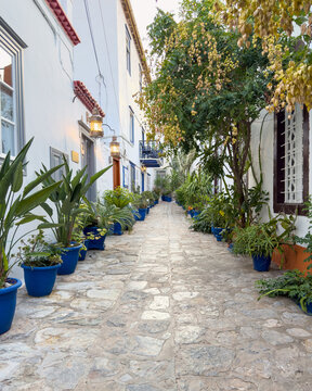 Blue pots and greenery border narrow stone alley in Hydra, Greece at lantern-lit dusk